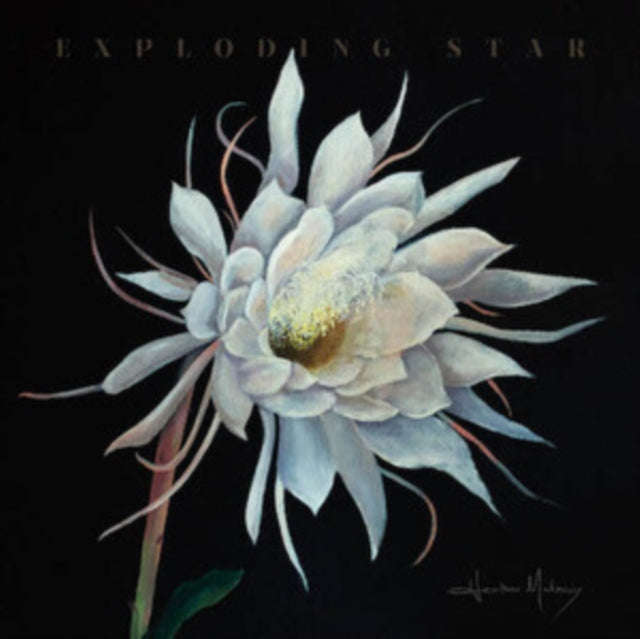 Heather Maloney - Exploding Star (CD)