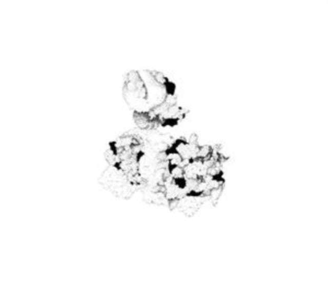 Anna Webber & Matt Mitchell - Capacious Aeration (CD)