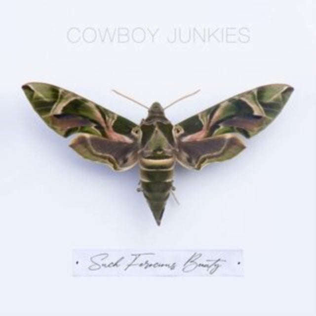 Cowboy Junkies - Such Ferocious Beauty (CD)