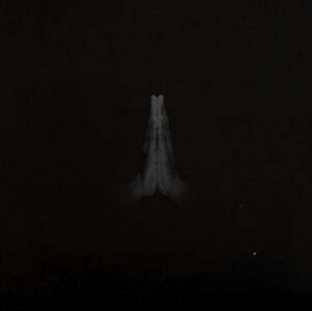 Sault - Untitled (Rise) (Vinyl)