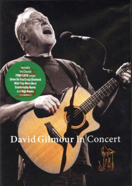 David Gilmour - In Concert (DVD)