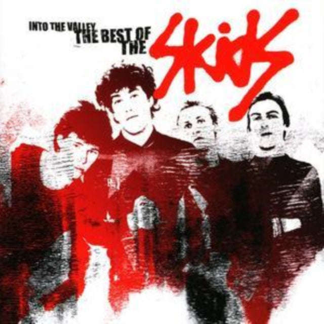 Skids - Into The Valley - The Best Of (CD)