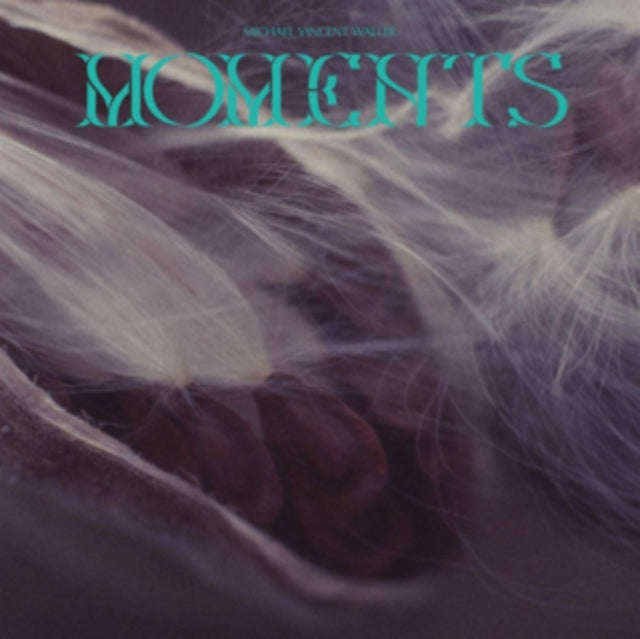 Michael Vincent Walker - Moments (Vinyl)