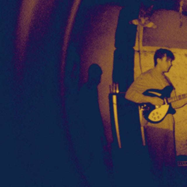Real Numbers - Wordless Wonder (CD)