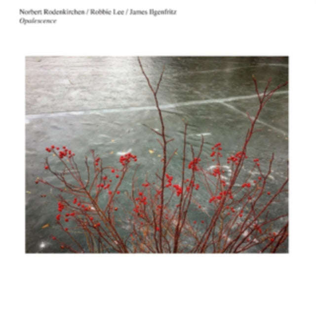Norbert Rodenkirchen / Robbie Lee / James Ilgenfritz - Opalescence (CD)