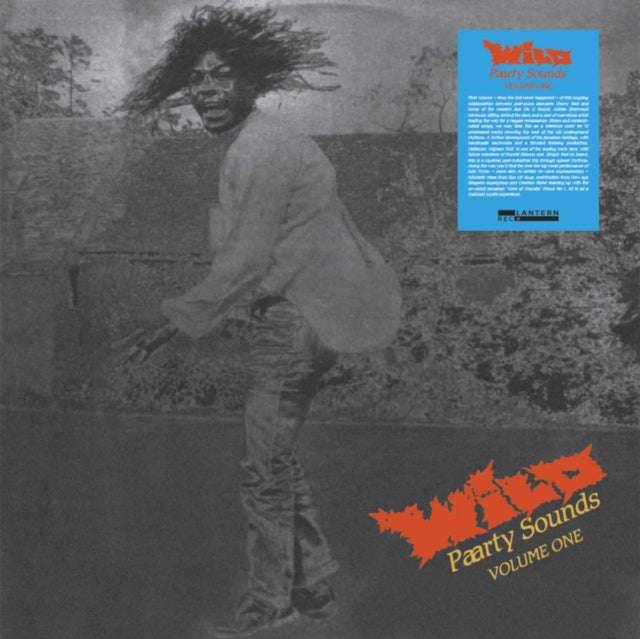 Various Artists - Wild Paarty Sounds - Volume One (Vinyl)