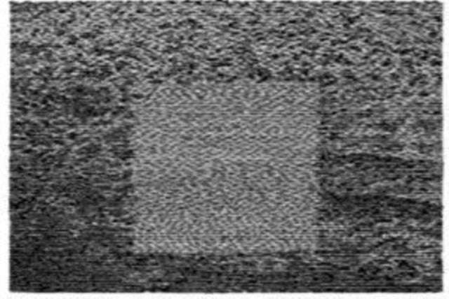 Grouper - Grid Of Points (CD)