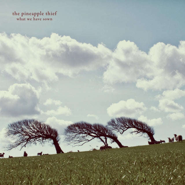 Pineapple Thief - What We Have Sown (Vinyl)