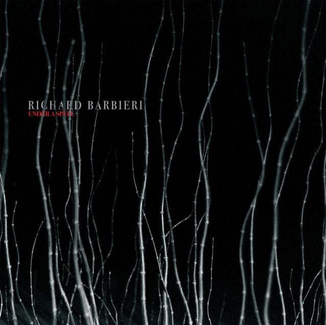 Richard Barbieri - Under A Spell (Vinyl)