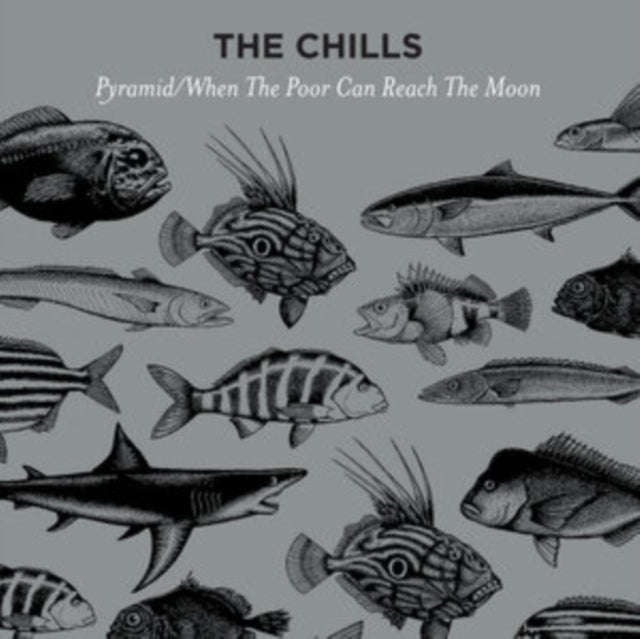Chills - Pyramid (Vinyl Single)