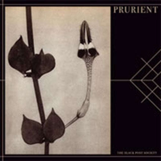 Prurient - The Black Post Society (CD)