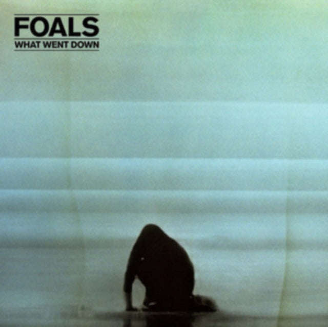 Foals - What Went Down (CD)