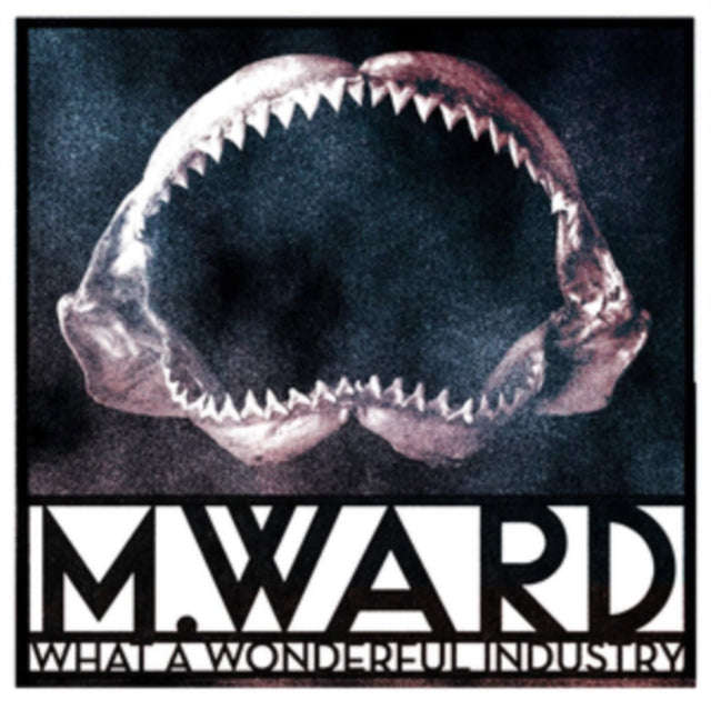 M.Ward - What A Wonderful Industry (Vinyl)
