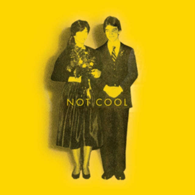Tim Easton - Not Cool (CD)