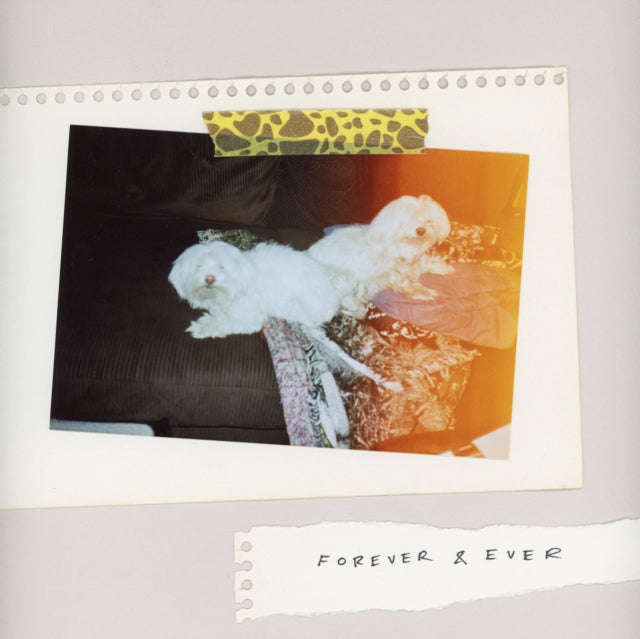 Sales - Forever & Ever (CD)