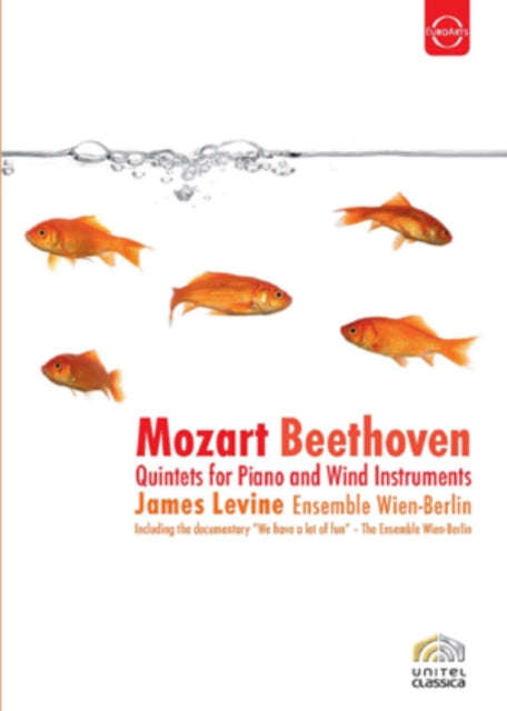 Levine James / Ensemble Wien Berlin - Mozart & Beethoven (DVD)