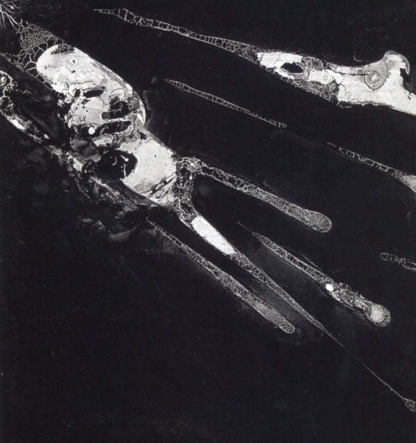 Psychic Health - Psychic Health (Vinyl)