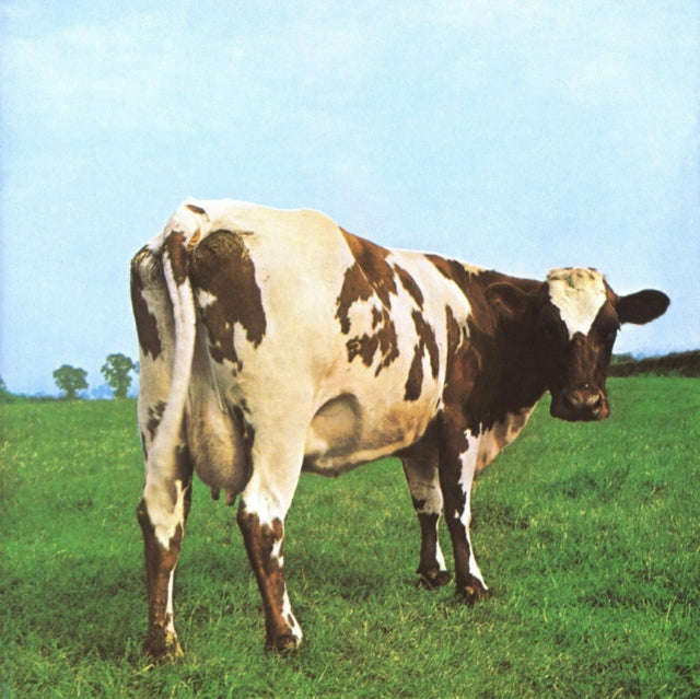 Pink Floyd - Atom Heart Mother (Vinyl)