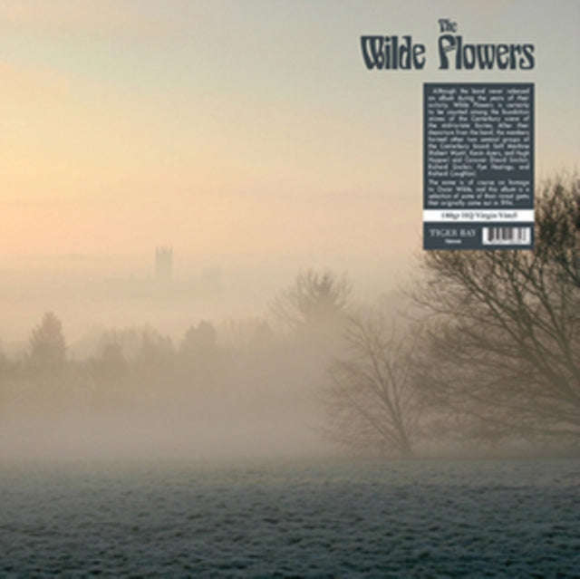 Wilde Flowers - The Wilde Flowers (Vinyl)