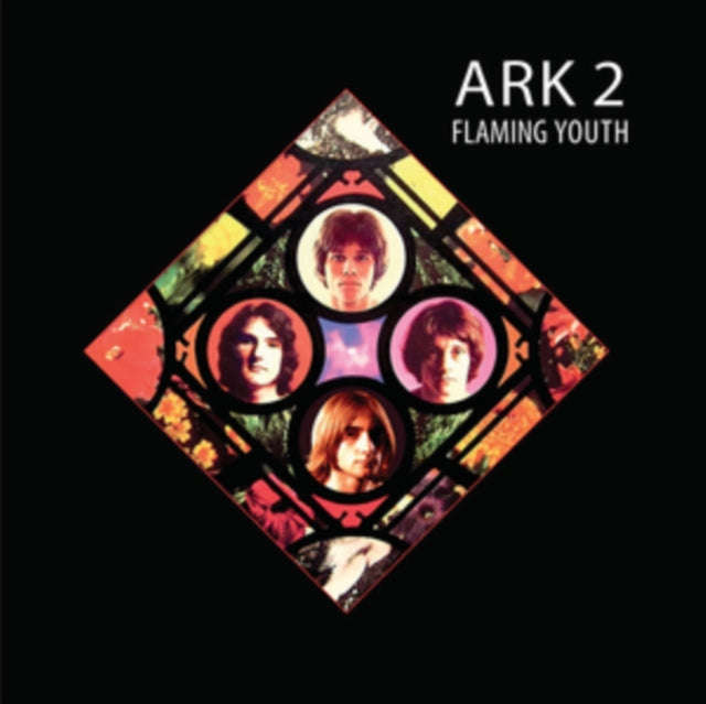 Flaming Youth - Ark 2 (Vinyl)
