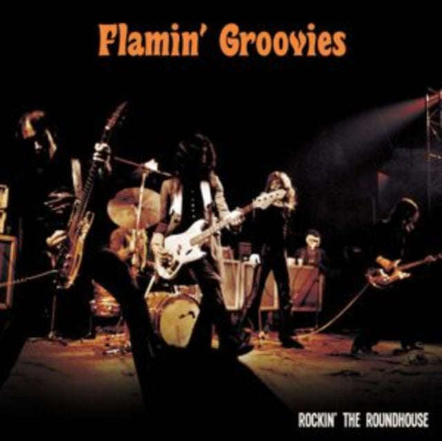 Flamin Groovies - Rockin The Roundhouse (CD)
