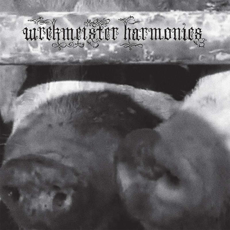 Wrekmeister Harmonies - Flowers In The Spring (Opaque Pink Vinyl) (Vinyl)