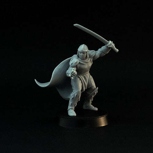28mm Schröder The Evil Ninja (Miniatures)