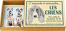 Marcvidal (477) I Learn to Recognize Dogs Educational Toy