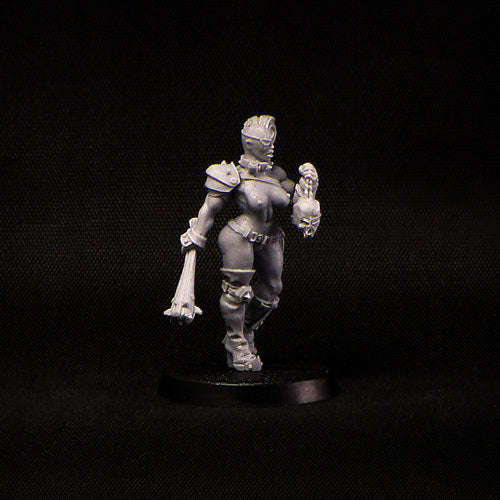 28mm Cruel Female Rider (AG-14) (Miniatures)