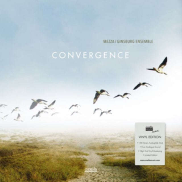 Mezza / Ginsburg Ensemble - Convergence (Vinyl)