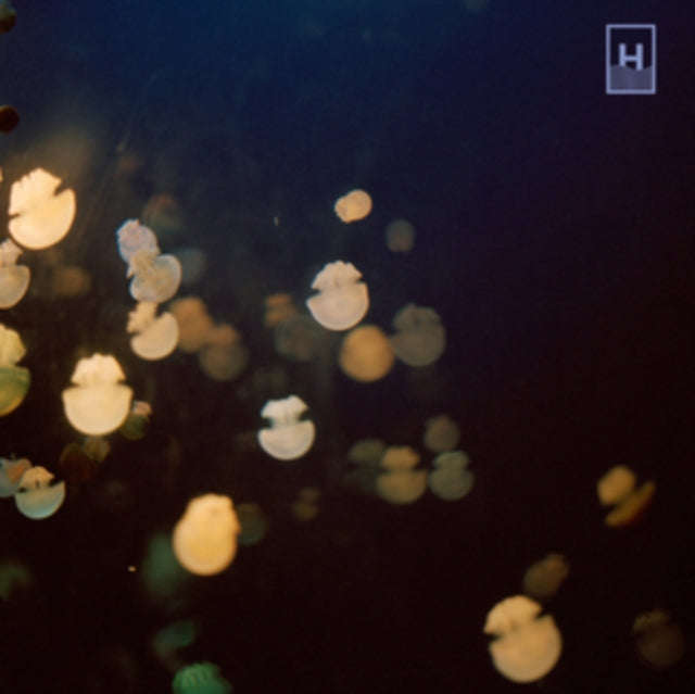 Dugong - The Big Other (CD)