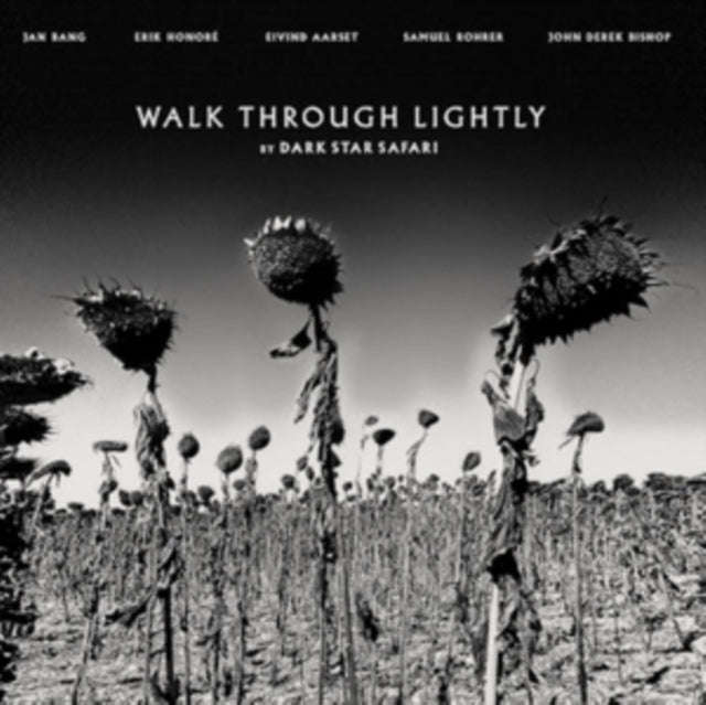 Dark Star Safari - Walk Through Lightly (Vinyl)