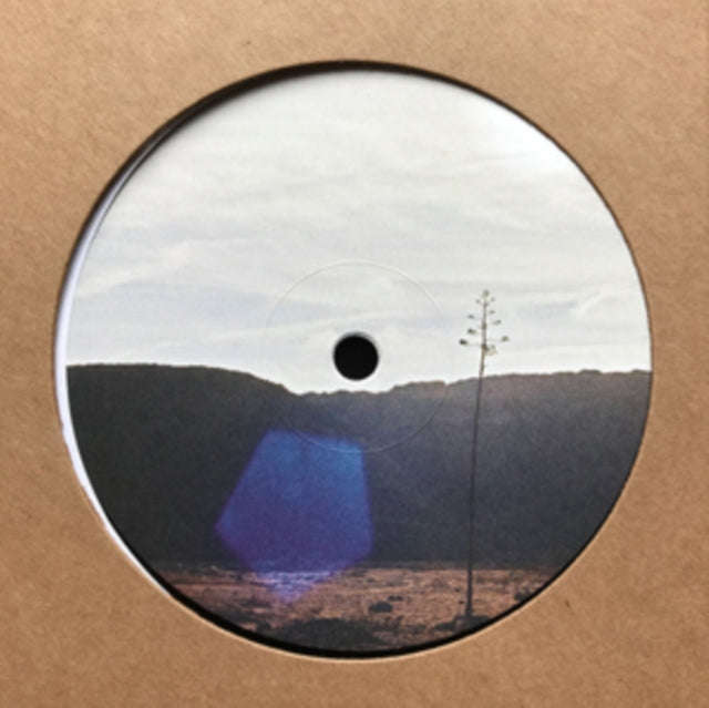 Jakob Seidensticker - After Were All Gone EP (Vinyl)