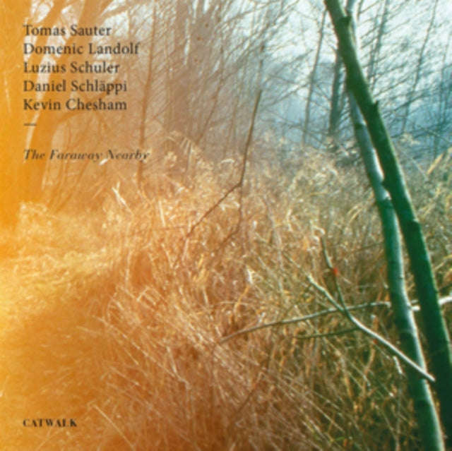 Tomas Sauter / Domenic Landolf / Luzius Schuler / Daniel Schlappi & Kevin Chelsham - The Faraway ...