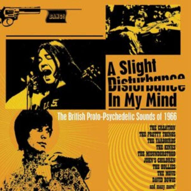 Various Artists - A Slight Disturbance In My Mind (Clamshell) (CD)