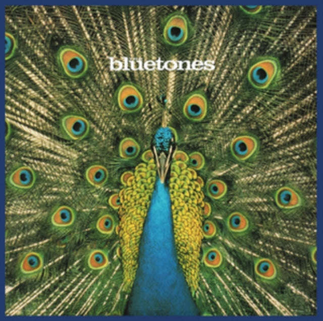 Bluetones - Expecting To Fly (CD)