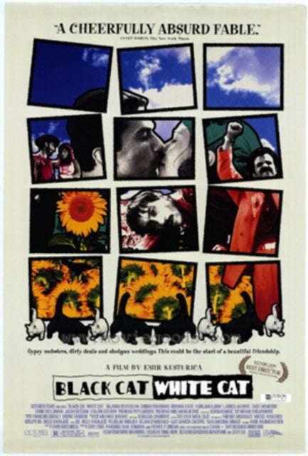 Black Cat  White Cat Emir Kusturica (DVD)