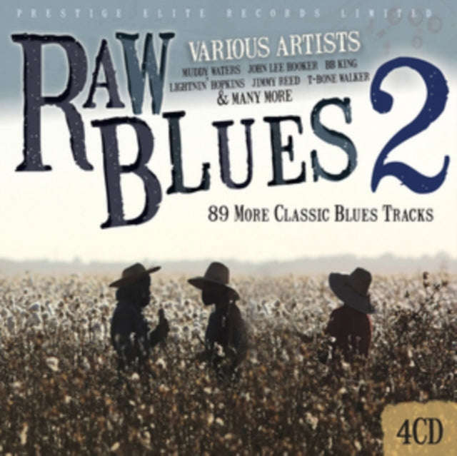 Various Artists - Raw Blues Vol. 2 (CD)
