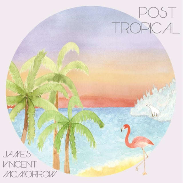 James Vincent Mcmorrow - Post Tropical (CD)