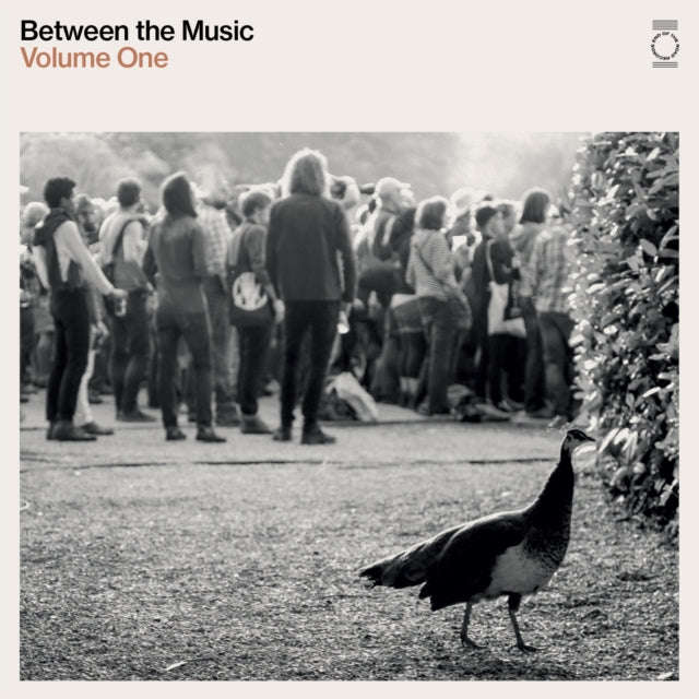 Various Artists - End Of The Road Presents: Between The Music (Vinyl)