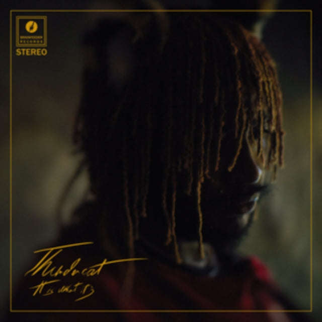 Thundercat - It Is What It Is (Vinyl)