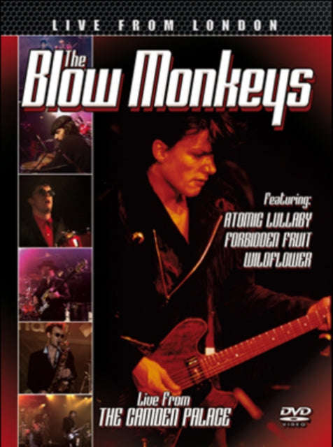 Blow Monkeys - Live From London (DVD)