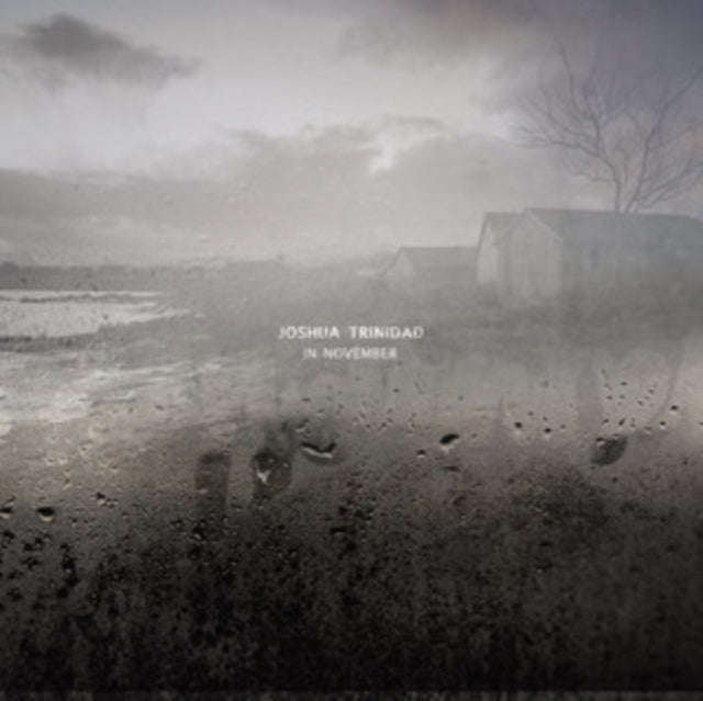 Joshua Trinidad - In November (CD)
