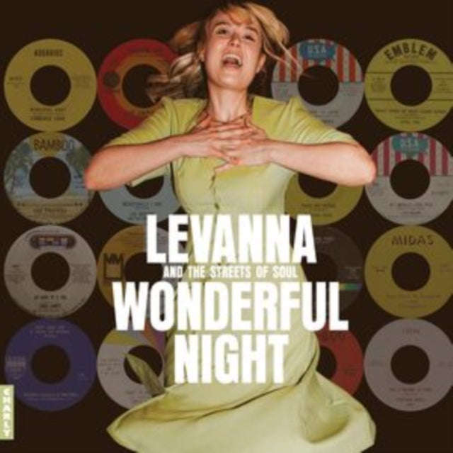 Various Artists - Wonderful Night Curated By Levanna (CD)