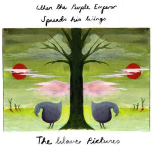 Wave Pictures - When The Purple Emperor Spreads His Wings (CD)
