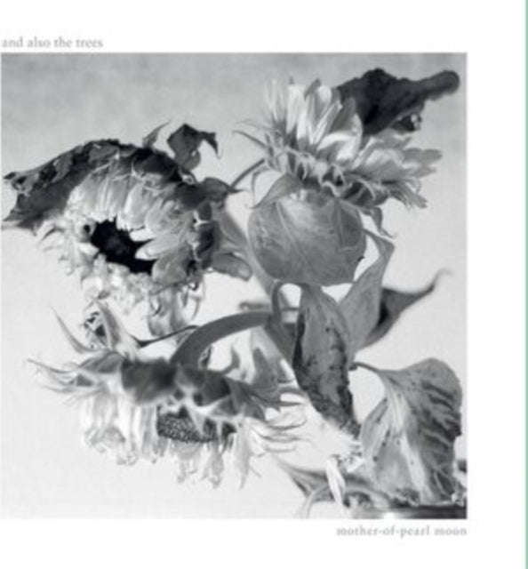 And Also The Trees - Mother-Of-Pearl Moon (CD)