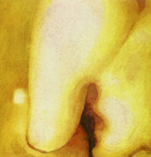 Smashing Pumpkins - Pisces Iscariot (Vinyl)