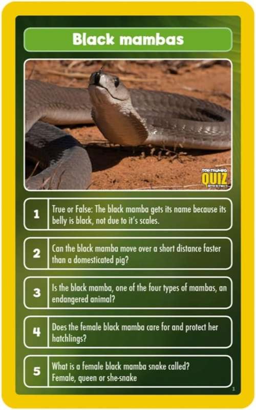 Top Trumps Card Game Quiz Animals