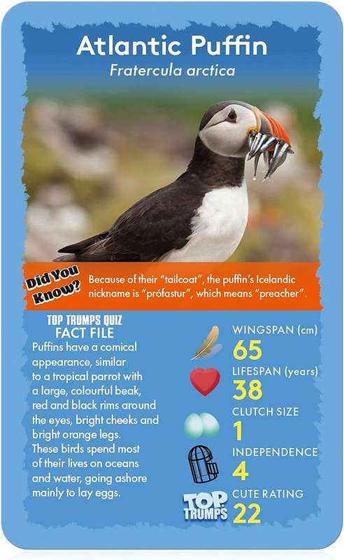 Top Trumps Card Game Classics Birds of The World