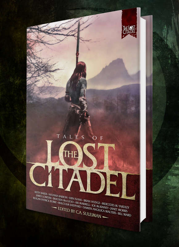 Tales of the Lost Citadel OOP (RPGs)